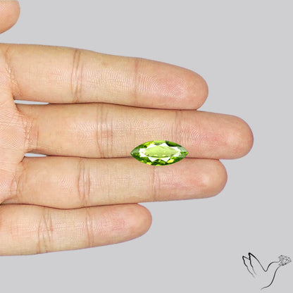 Faceted Peridot Rare Large Sized From Arizona