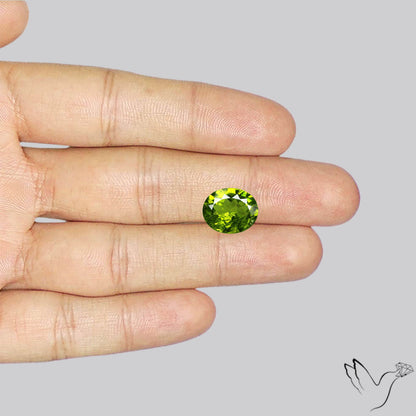 Faceted Peridot Rare Large Sized From Arizona