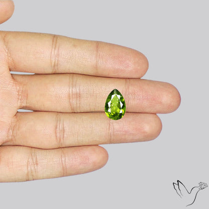 Faceted Peridot Rare Large Sized From Arizona