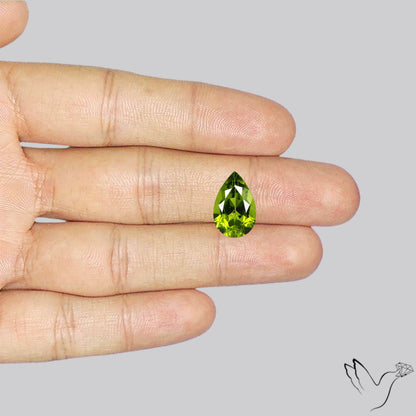 Faceted Peridot Rare Large Sized From Arizona