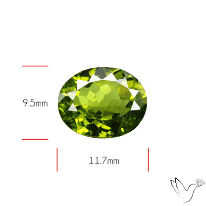 Faceted Peridot Rare Large Sized From Arizona