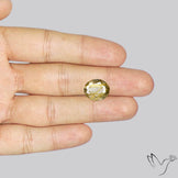 Faceted Golden Rutilated Quartz