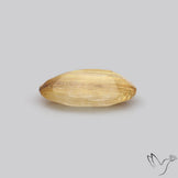 Faceted Golden Rutilated Quartz