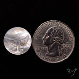 Mother Of Pearl Flying Bird Carving
