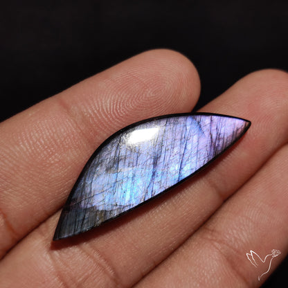 Electric Blue Spectrolite Cabochon