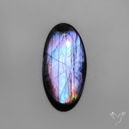 Electric Blue Spectrolite Cabochon