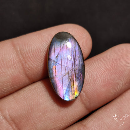 Electric Blue Spectrolite Cabochon