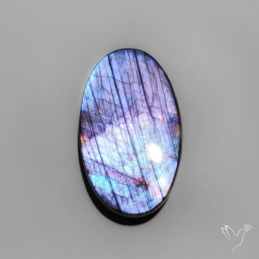 Electric Blue Spectrolite Cabochon