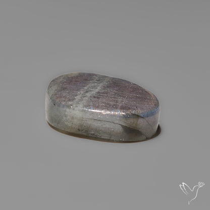 Electric Blue Spectrolite Cabochon