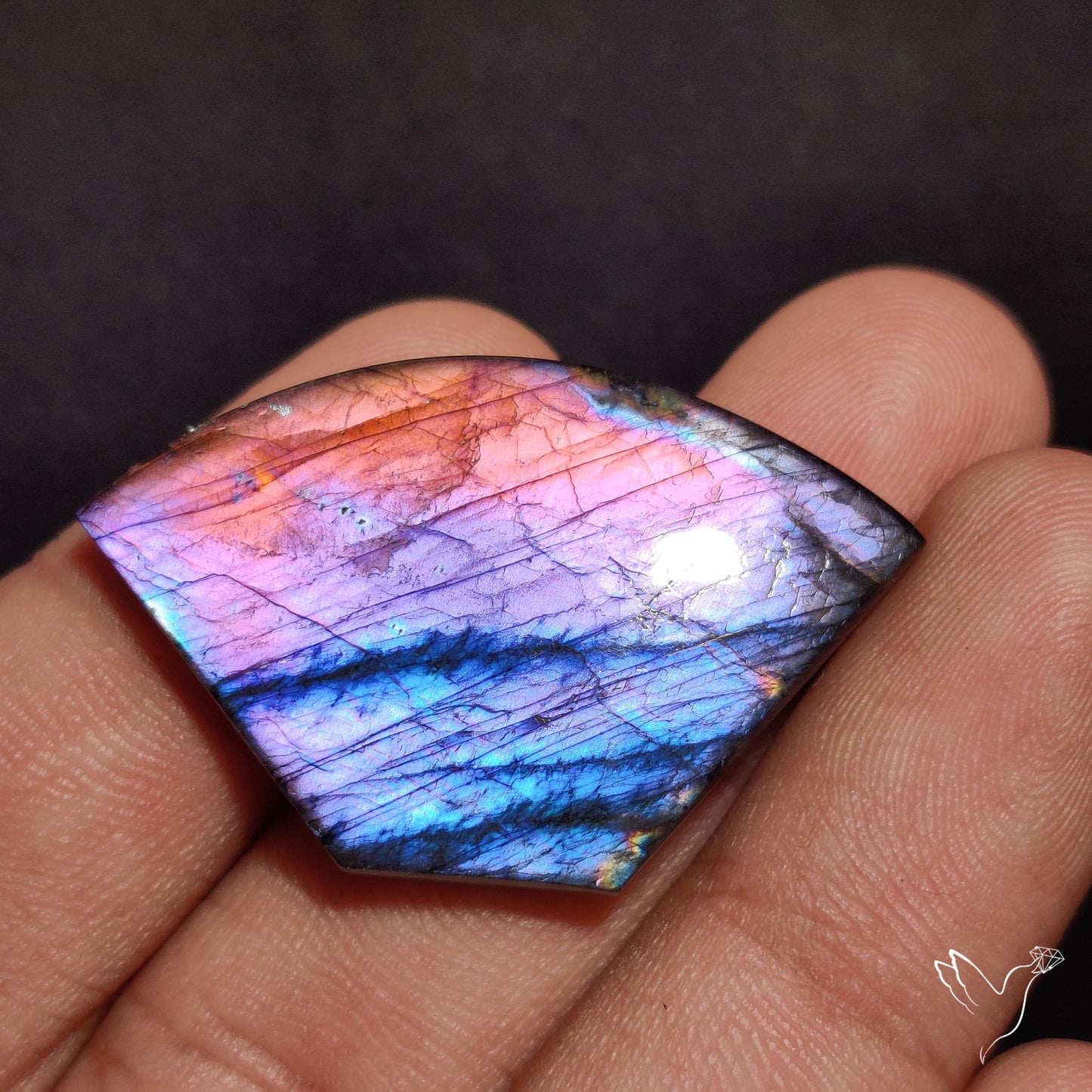 Multi-Color Spectrolite Cabochon