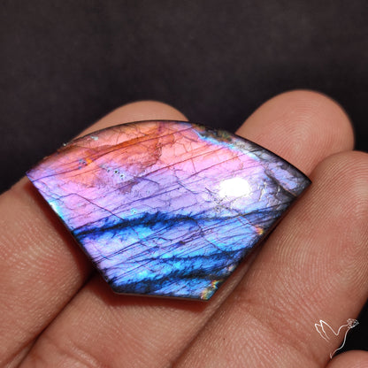Multi-Color Spectrolite Cabochon