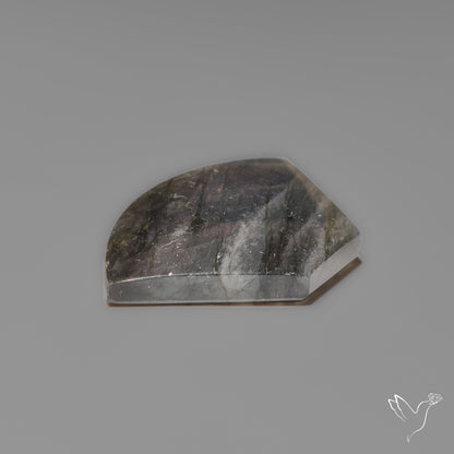 Multi-Color Spectrolite Cabochon