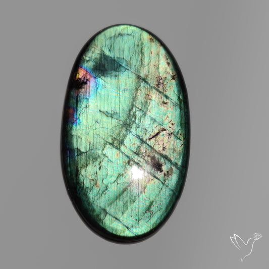 Sea Green Spectrolite Cabochon