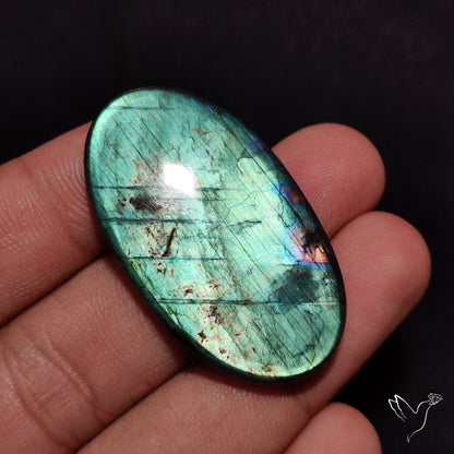 Sea Green Spectrolite Cabochon