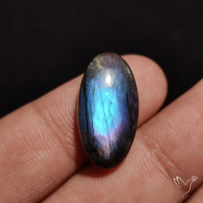 Electric Blue Spectrolite Cabochon