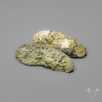 Tabasco Baby Geode Druzy Pair