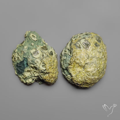 Tabasco Baby Geode Druzy Pair