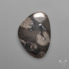 Black Fossil Coral Cabochon