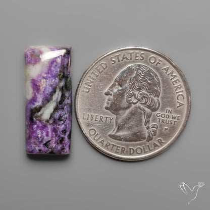 Charoite Cabochon