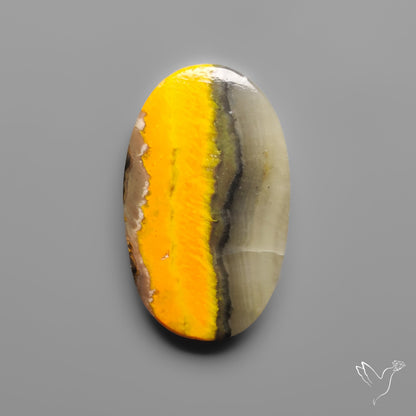 Bumble Bee Jasper Cabochon