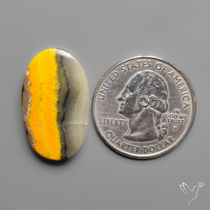 Bumble Bee Jasper Cabochon