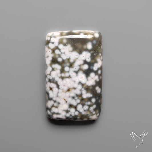 Orbicular Ocean Jasper Cabochon