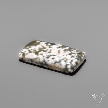 Orbicular Ocean Jasper Cabochon