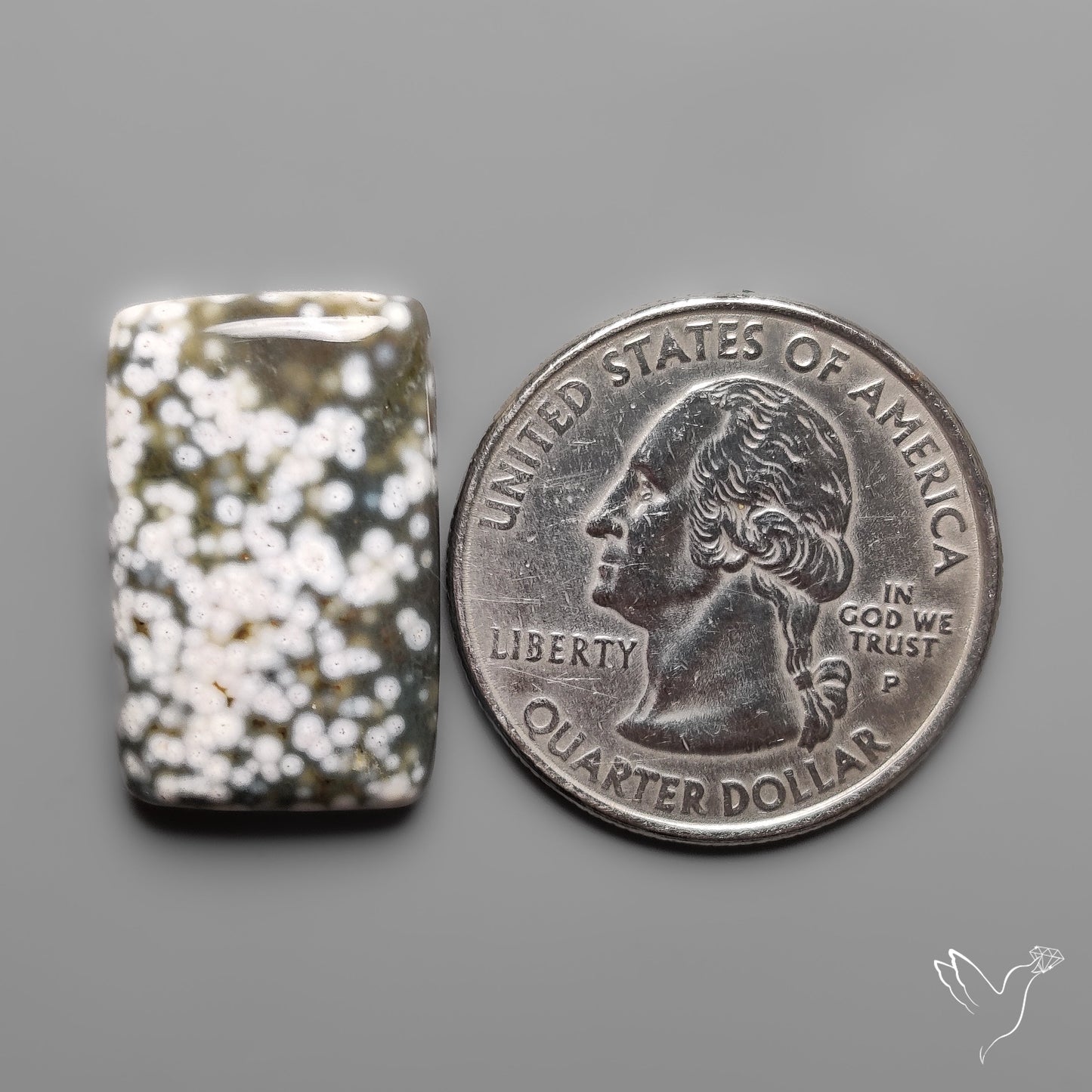 Orbicular Ocean Jasper Cabochon