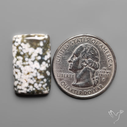Orbicular Ocean Jasper Cabochon