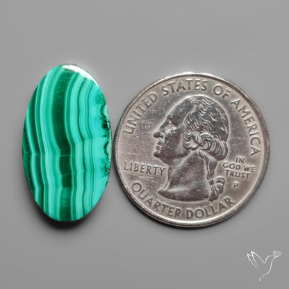 Malachite Cabochon