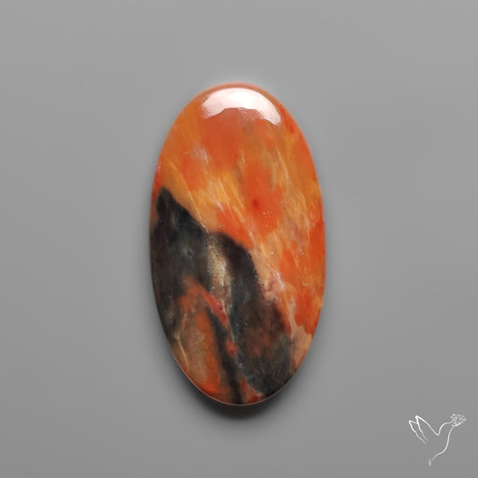 Honey Dendritic Agate