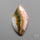 Ocean Jasper Cabochon