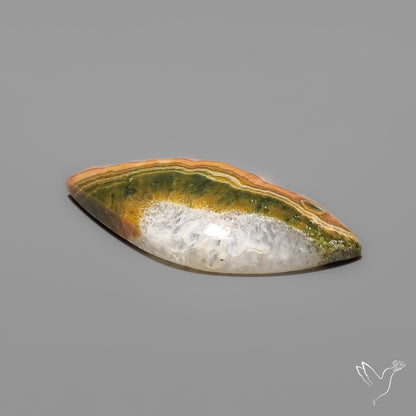 Ocean Jasper Cabochon
