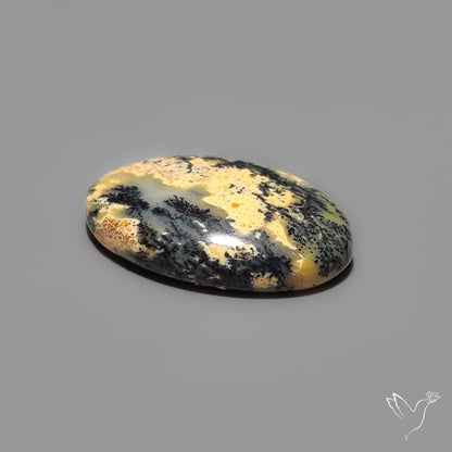 Australian Dendrtitic Agate Cabochon