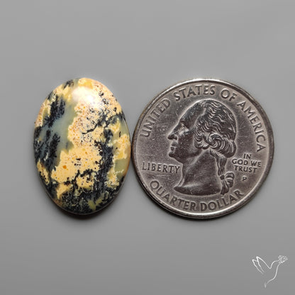 Australian Dendrtitic Agate Cabochon