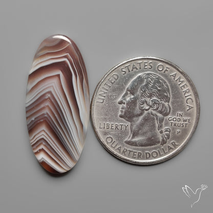 Botswana Agate Cabochon