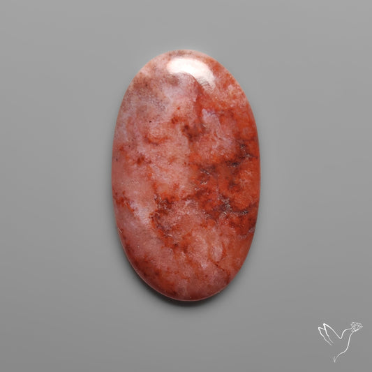 Red Arizona Petrified Wood