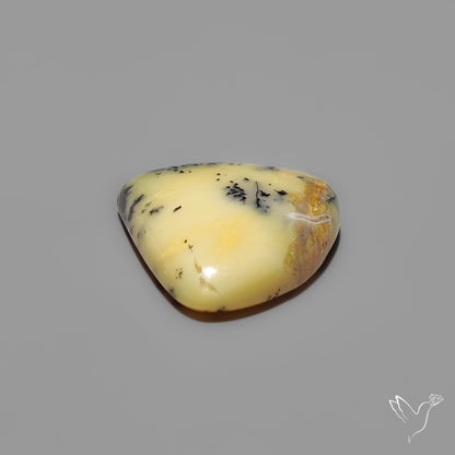 Australian Yellow Dendrtitic Agate