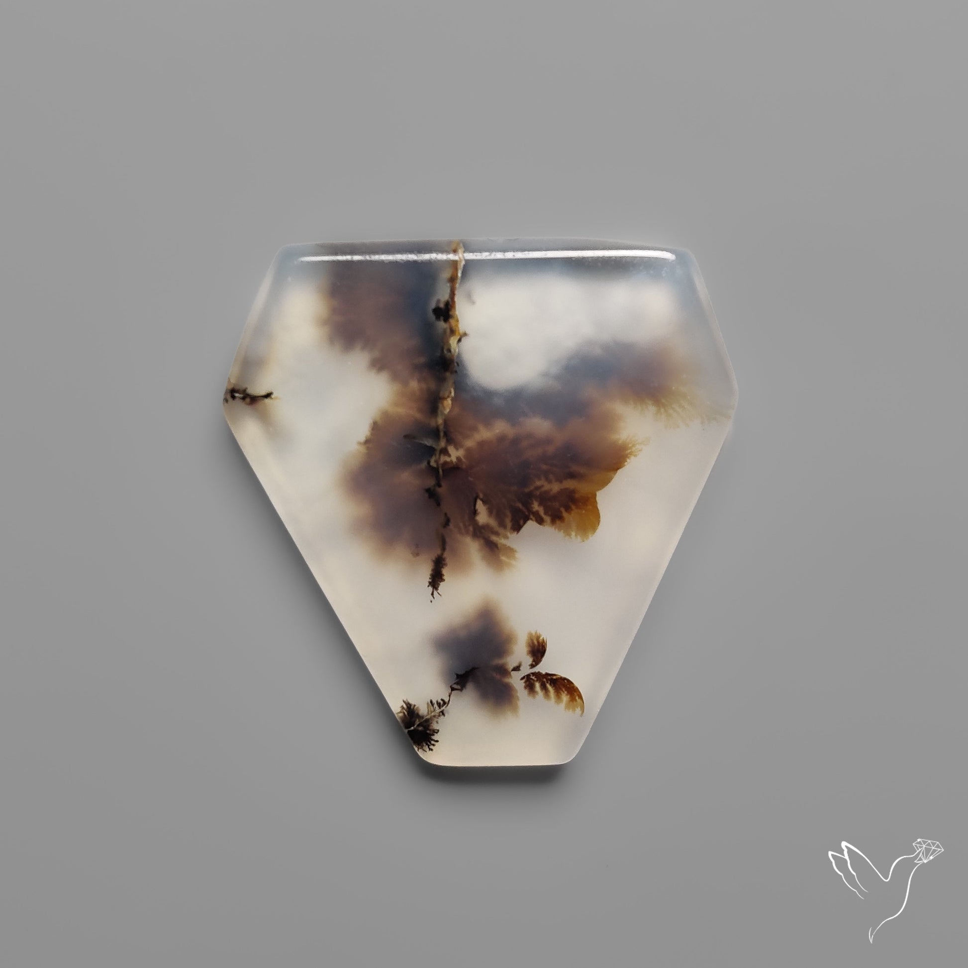 Scenic Agate Cabochon