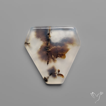 Scenic Agate Cabochon
