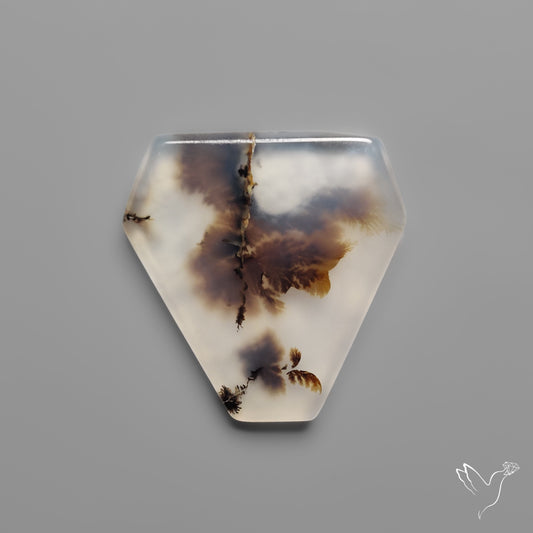 Scenic Agate Cabochon