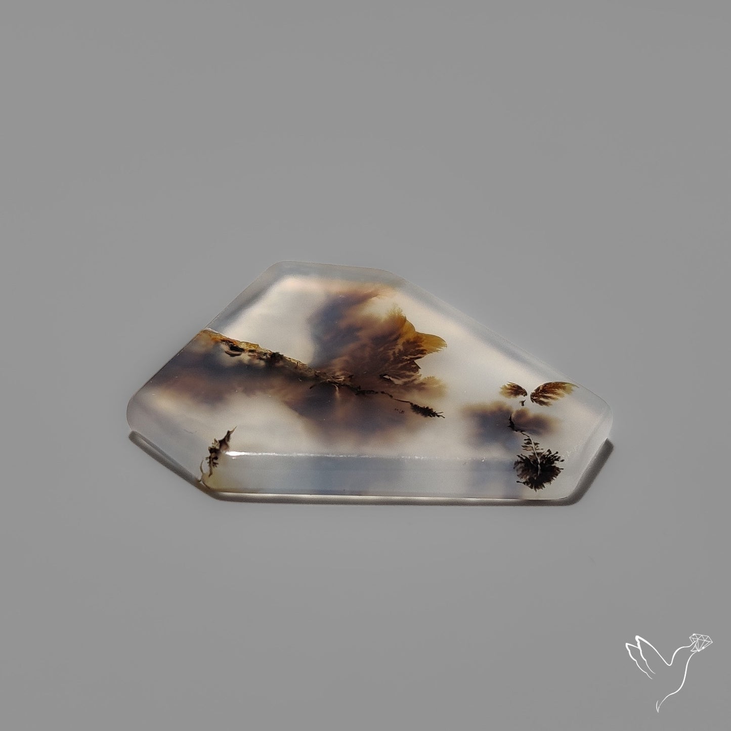 Scenic Agate Cabochon