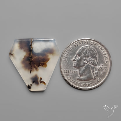 Scenic Agate Cabochon
