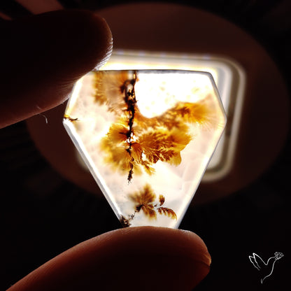 Scenic Agate Cabochon