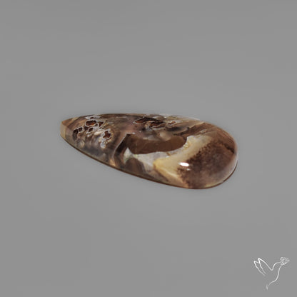 Turkish Tube Agate Cabochon