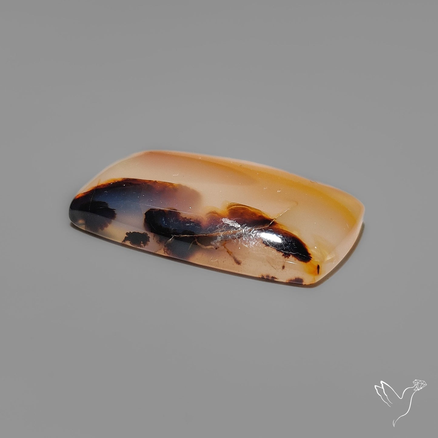 Montana Agate Cabochon