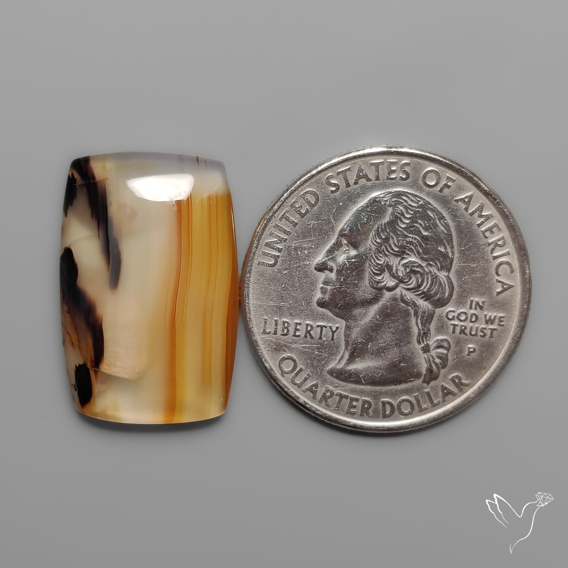 Montana Agate Cabochon