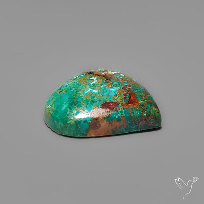 Parrot Wing Chrysocolla Cabochon