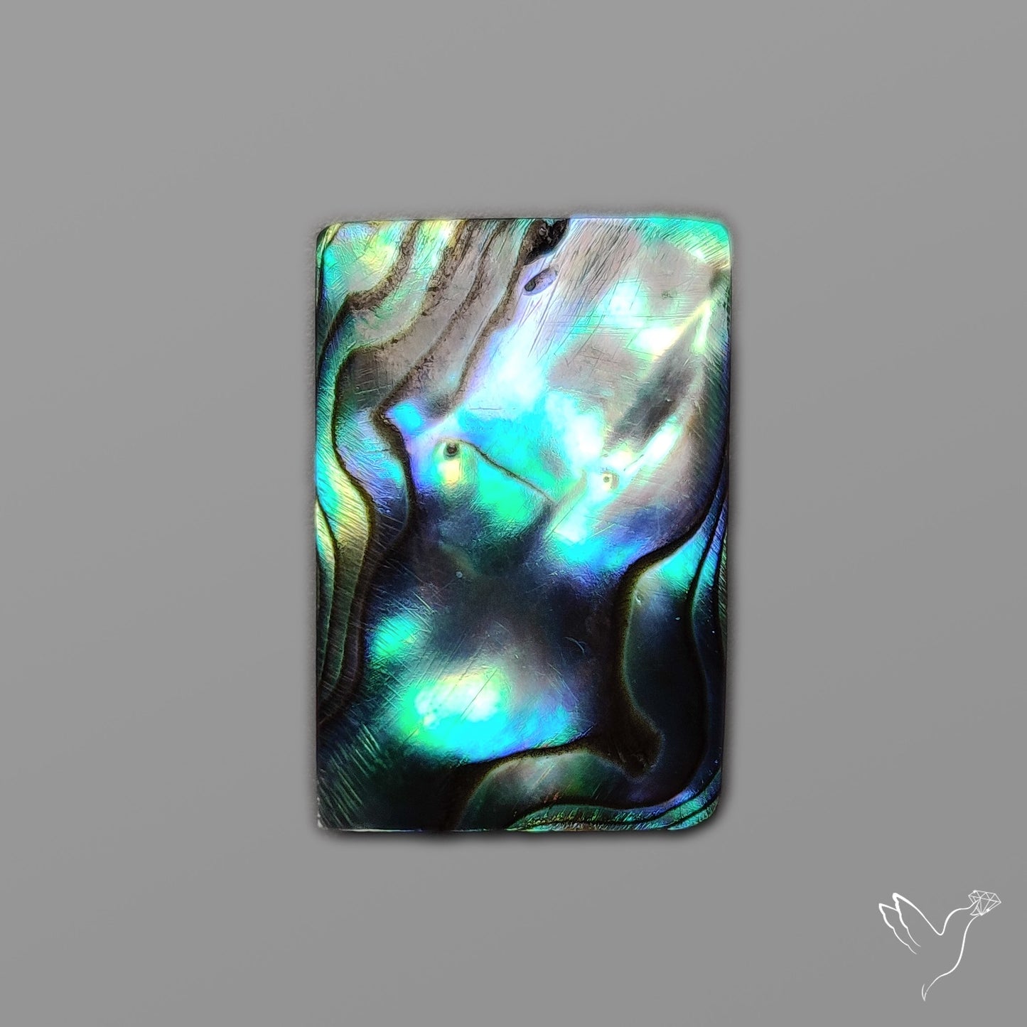 Abalone Shell Cabochon