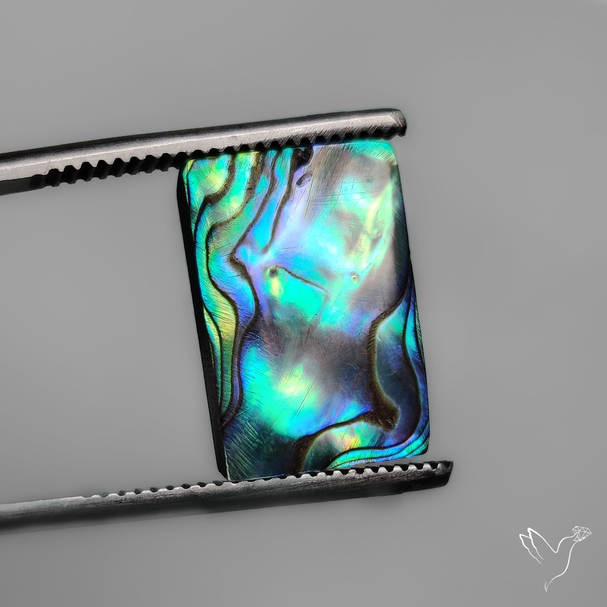 Abalone Shell Cabochon